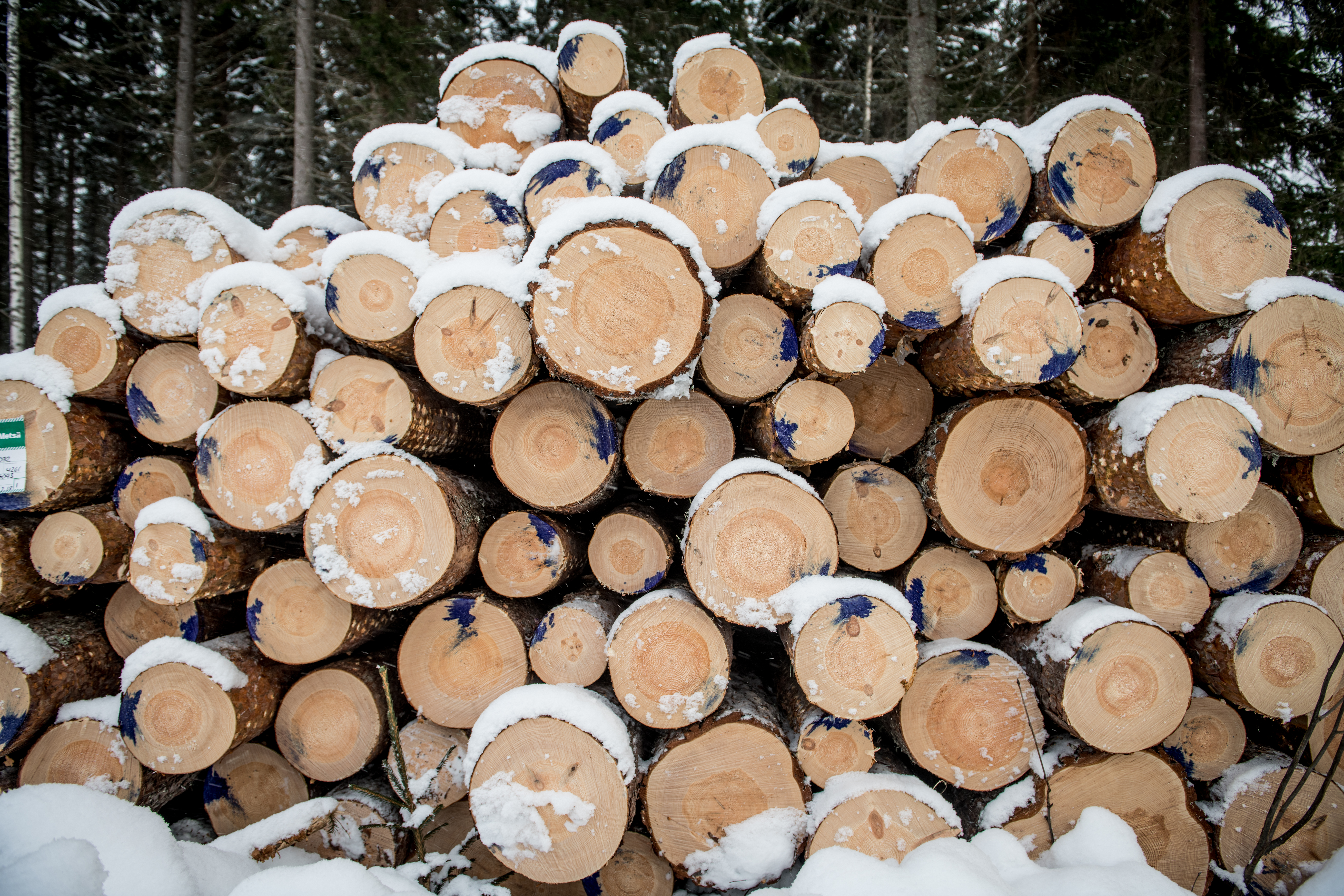 Ansvarlige skovmaterialer