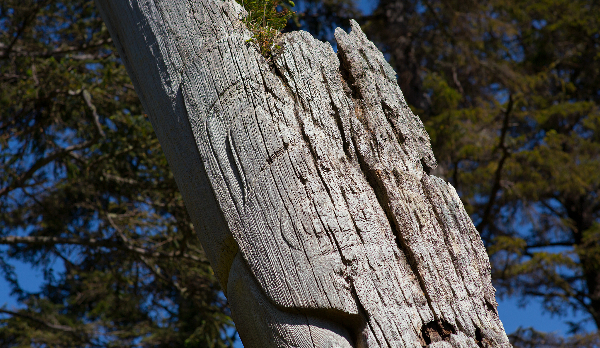 Totempæle, Haidi Gwaii, Canada