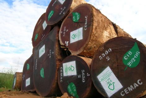FSC-logs