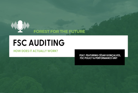 Podcast CoC-audits