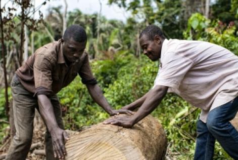 FSC-certificering forbedrer levevilkår i Congo-bassinet