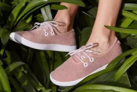 Allbirds