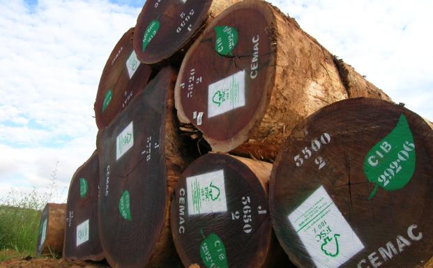 FSC-logs