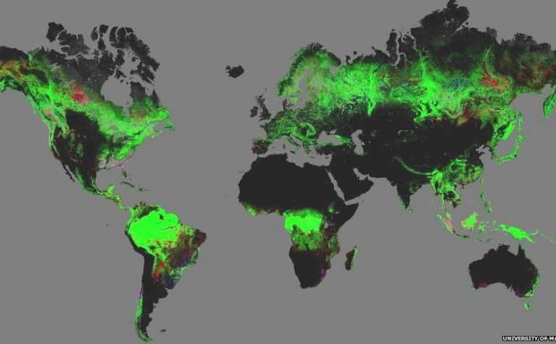 Google Earth-overblik over de globle skovforandringer