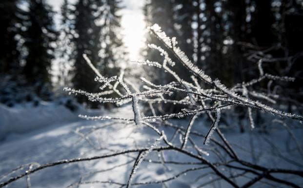Julehilsen Julehilsen