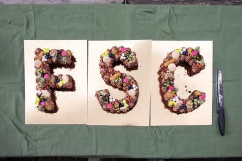 Buchs' FSC-kage