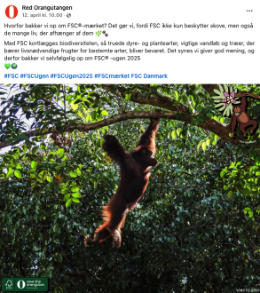 Red Orangutangen FSC Ugen 2025