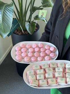 FSC Dag