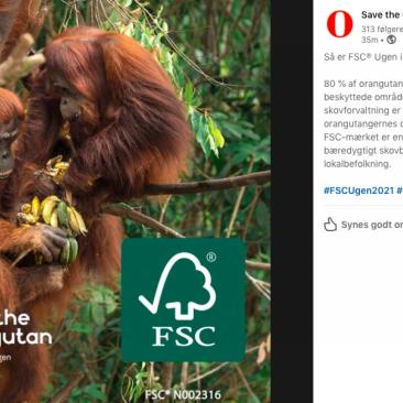 Red Orangutangen på LinkedIn Red Orangutangen på LinkedIn